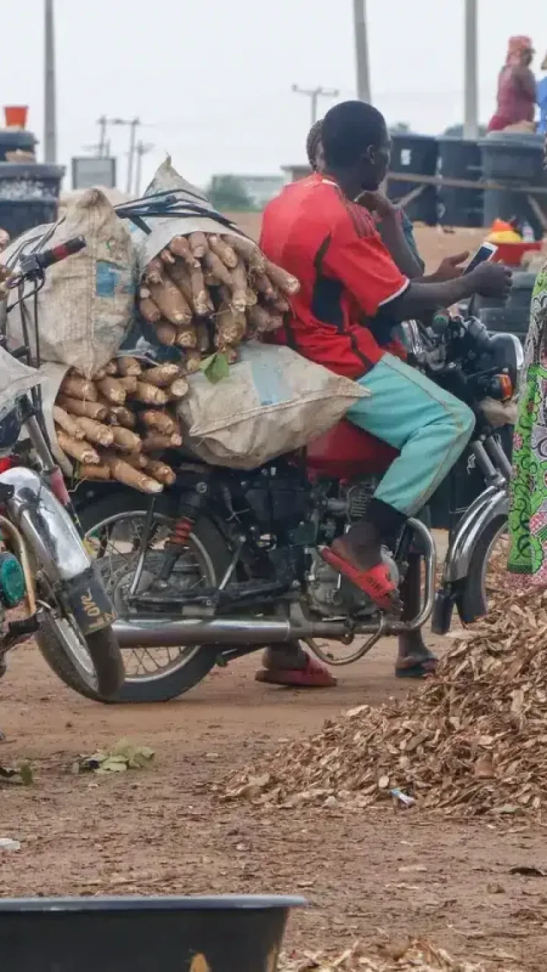 O “alimento mais mortal do mundo” mata mais de 200 pessoas por ano e ainda é consumido por 500 milhões