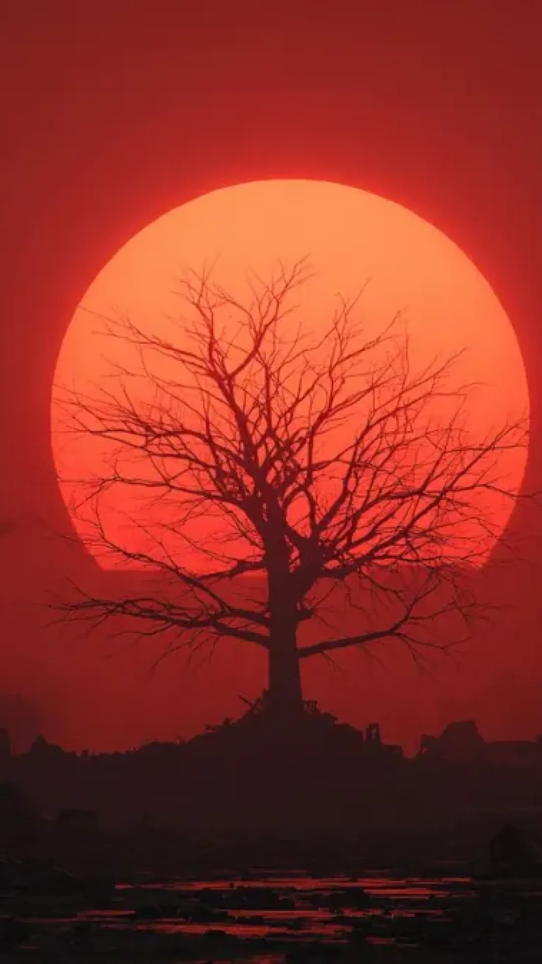 O oxigênio não será eterno: a Terra já tem data marcada para perder todo o seu ar