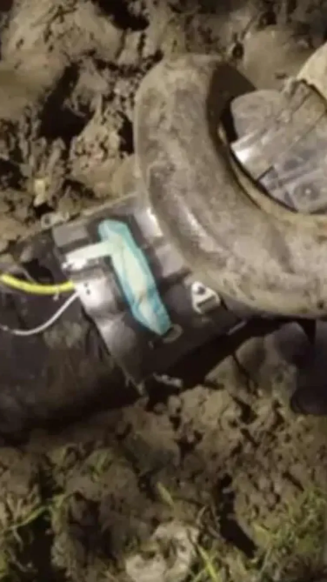 O que aconteceu com o homem que permitiu que uma cobra o comesse vivo enquanto gravava tudo?