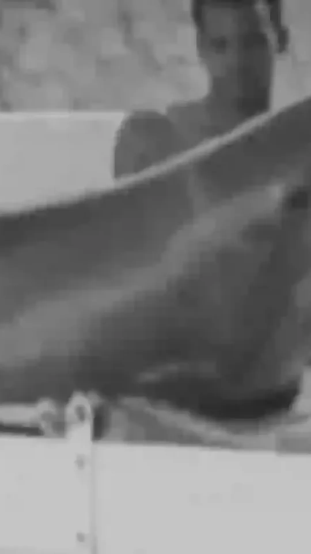 O que aconteceu tragicamente ao golfinho que “se apaixonou” por um treinador durante um experimento