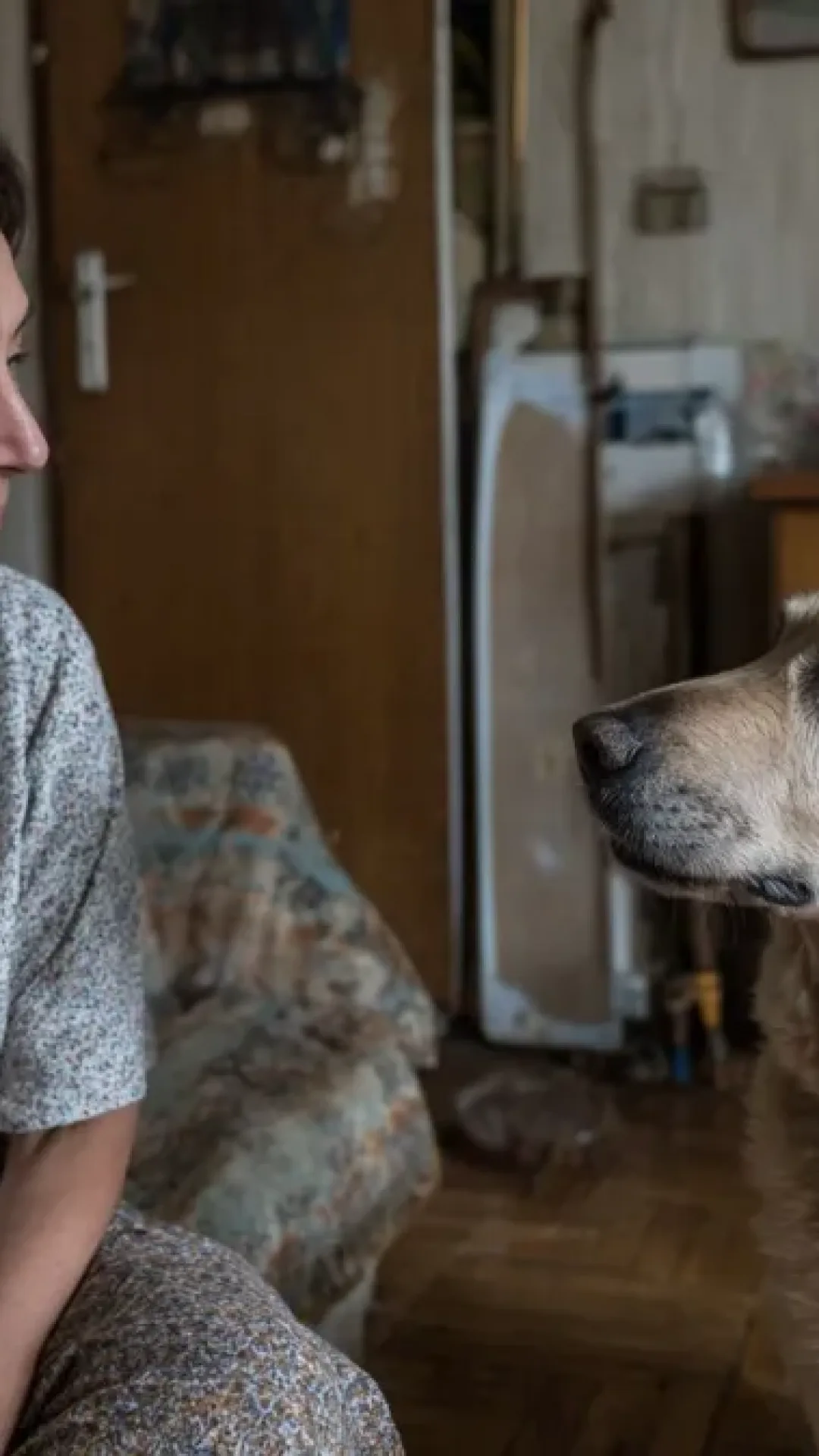 O que significa conversar com animais de estimação como se fossem pessoas, segundo a psicologia?