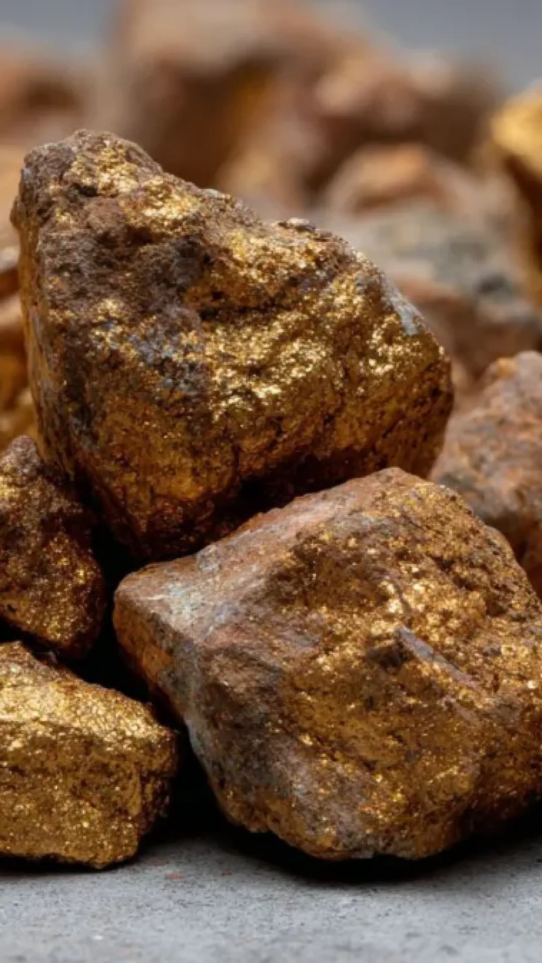O que todos jogam fora sem perceber. A descoberta que revela ouro de 22 quilates no lixo que você tem em casa