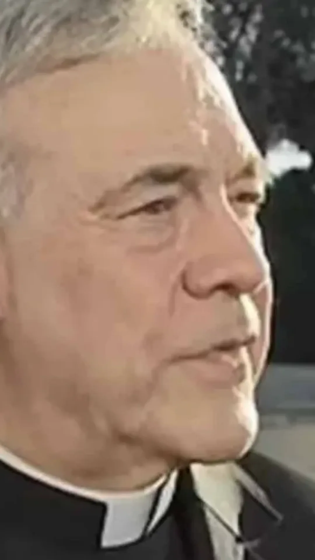 Padre no Conclave para escolher o novo Papa tem um irmão muito famoso que você reconheceria imediatamente
