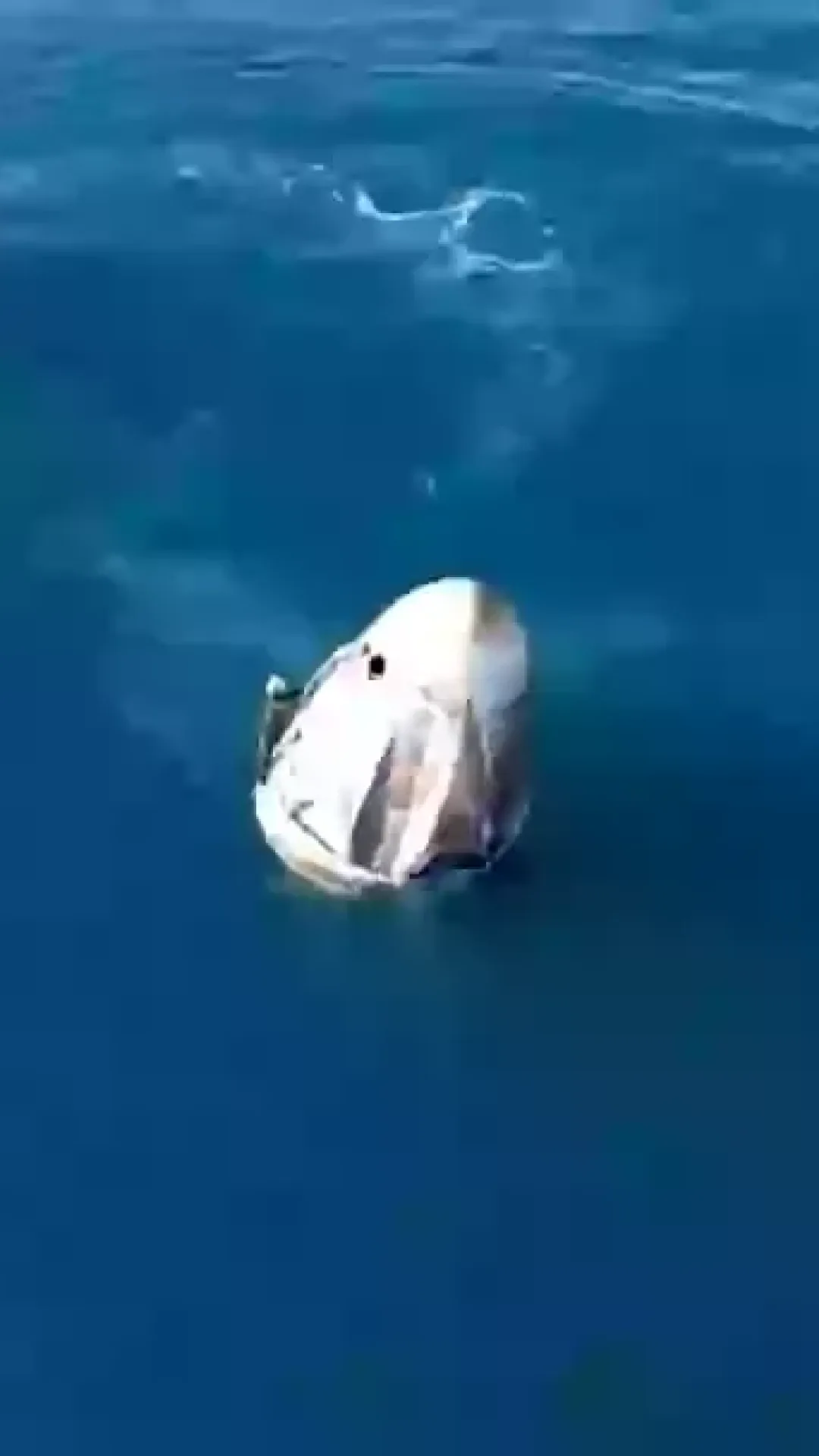 Pessoas estão percebendo um detalhe incrível no momento em que astronautas da NASA presos no espaço voltaram à Terra
