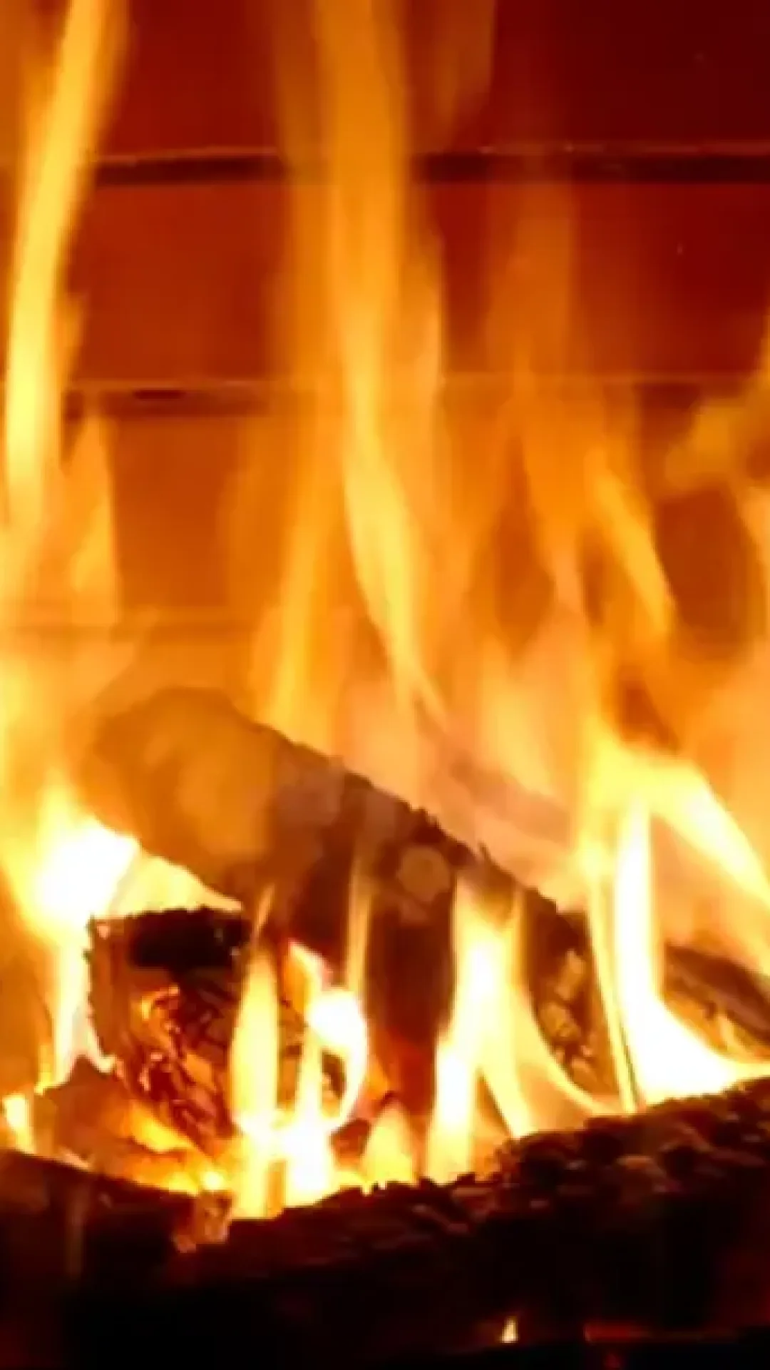 Pessoas ficam chocadas ao descobrir quanto dinheiro um único vídeo de “lareira” ganha no YouTube