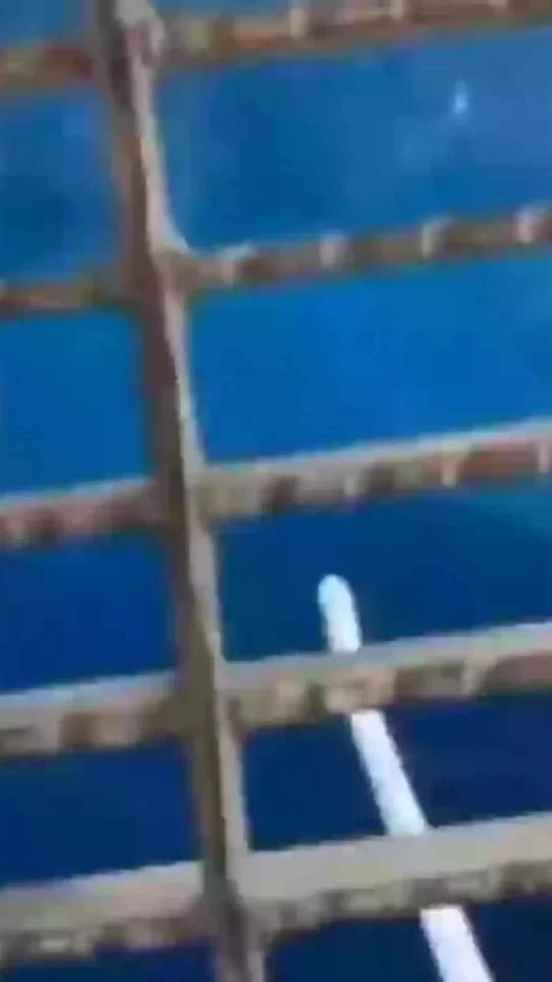 Pessoas juram ‘nunca mais entrar no oceano’ após verem o que aconteceu quando um homem jogou comida de uma plataforma de petróleo no mar