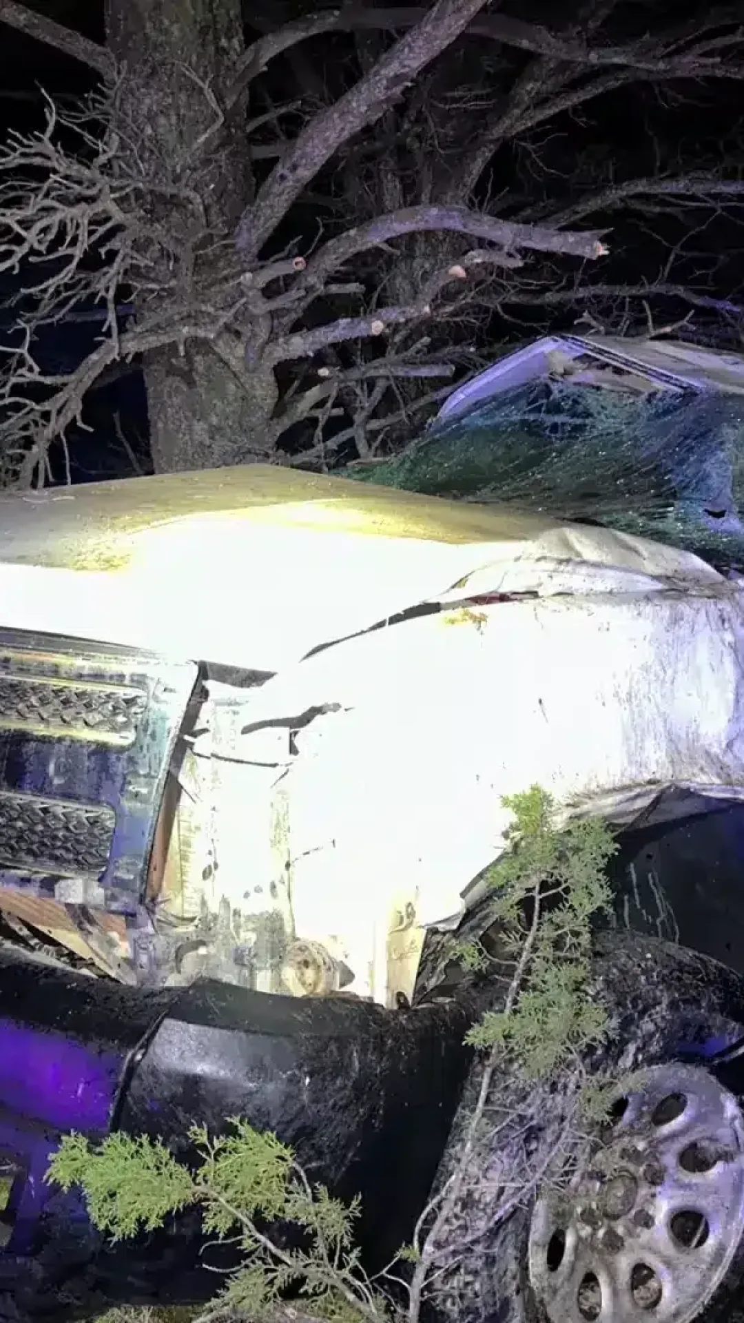Polícia emite alerta após adolescente de 13 anos embriagada bater carro a 160 km/h com criança de 11 anos no banco do passageiro