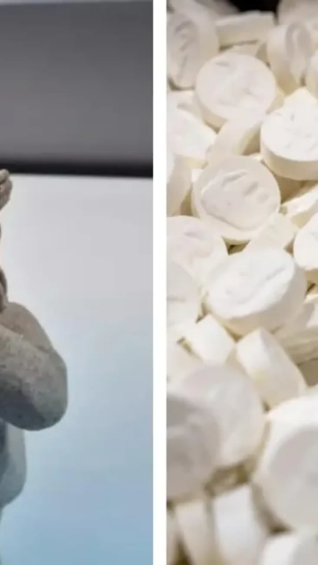 Polícia encontra gnomo de jardim de 1,8 kg feito inteiramente de MDMA em apreensão de drogas ‘extraordinária’