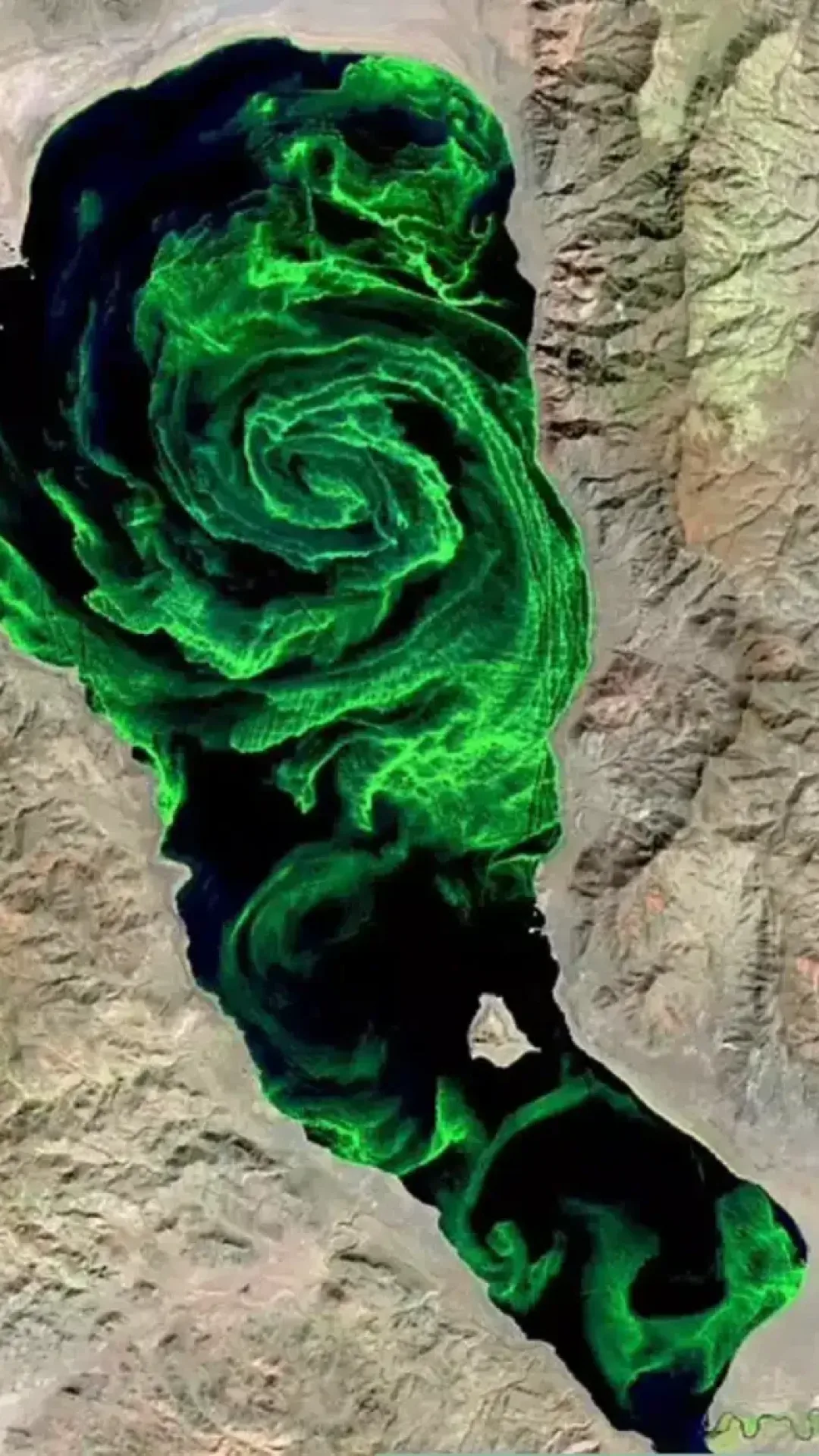 Por que lagos estão criando redemoinhos verdes tão intensos que podem ser vistos do espaço?