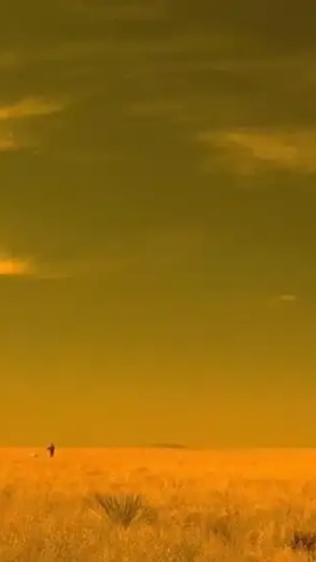 Por que o México sempre tem um filtro amarelo em séries e filmes?