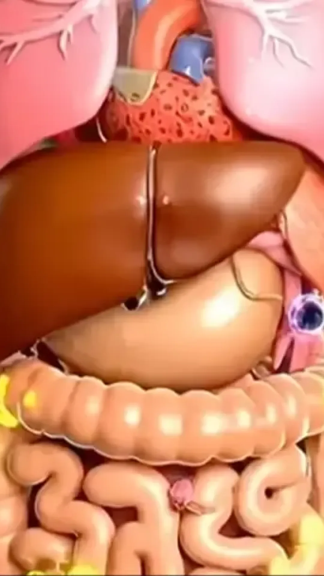 Simulação chocante mostra exatamente o que acontece com seu corpo se você parar de consumir açúcar por sete dias