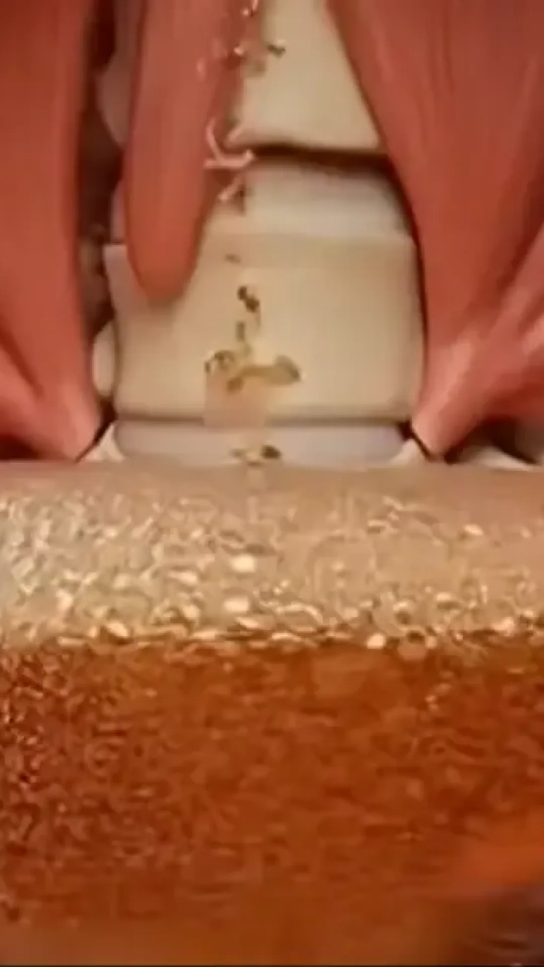 Simulação chocante mostra exatamente o que acontece dentro do seu corpo se você beber refrigerante todos os dias