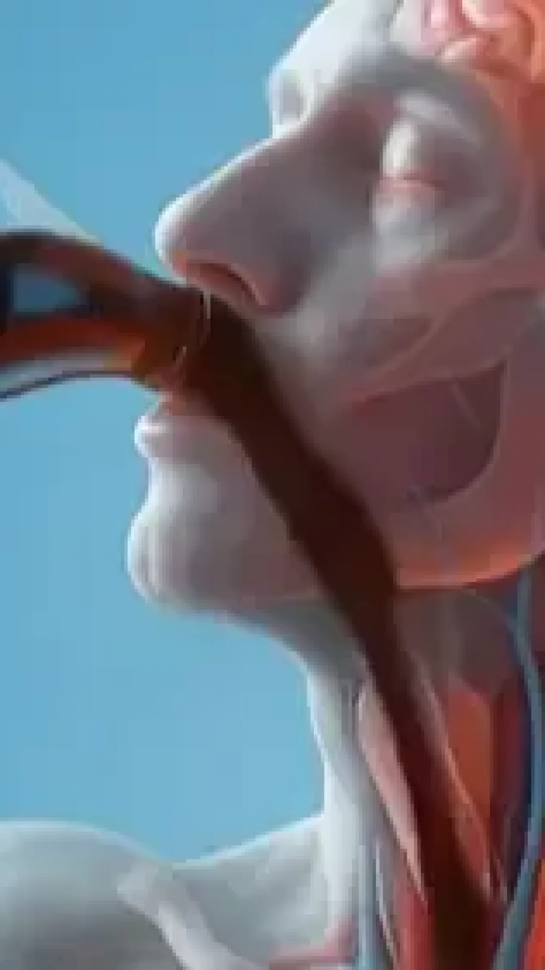 Simulação mostra o que acontece com o corpo se você consumir uma bebida chamada por um cirurgião cardíaco de “morte líquida”