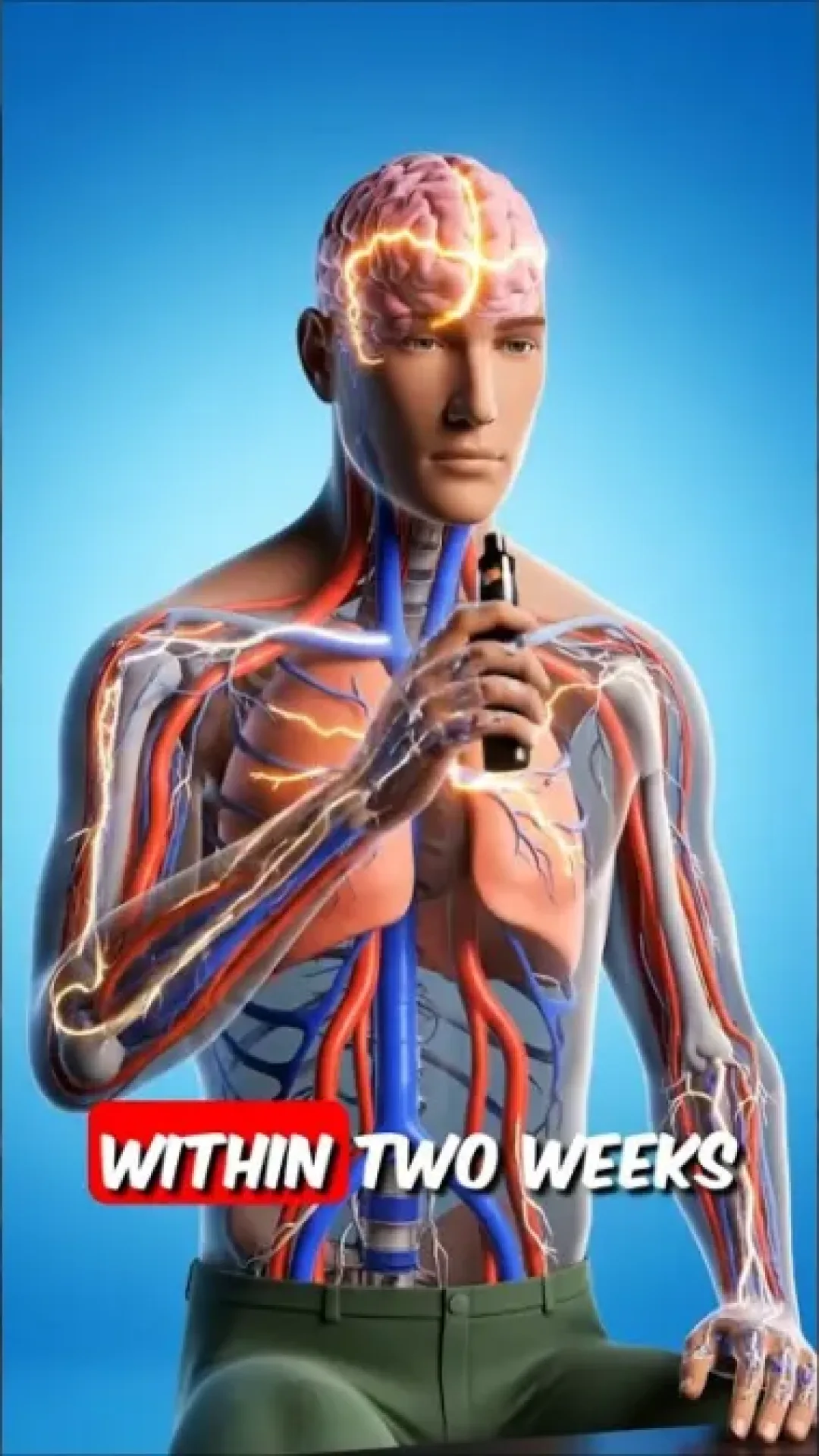 Simulação mostra o que aconteceria com o seu corpo se você vaporizasse todos os dias por 30 dias