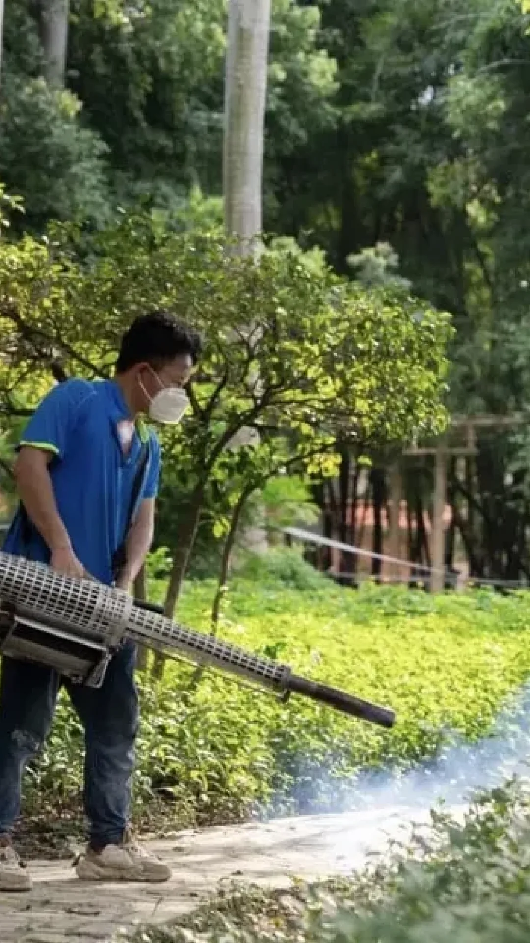 Surto do vírus Chikungunya na China leva o país a adotar “medidas pandêmicas rigorosas”
