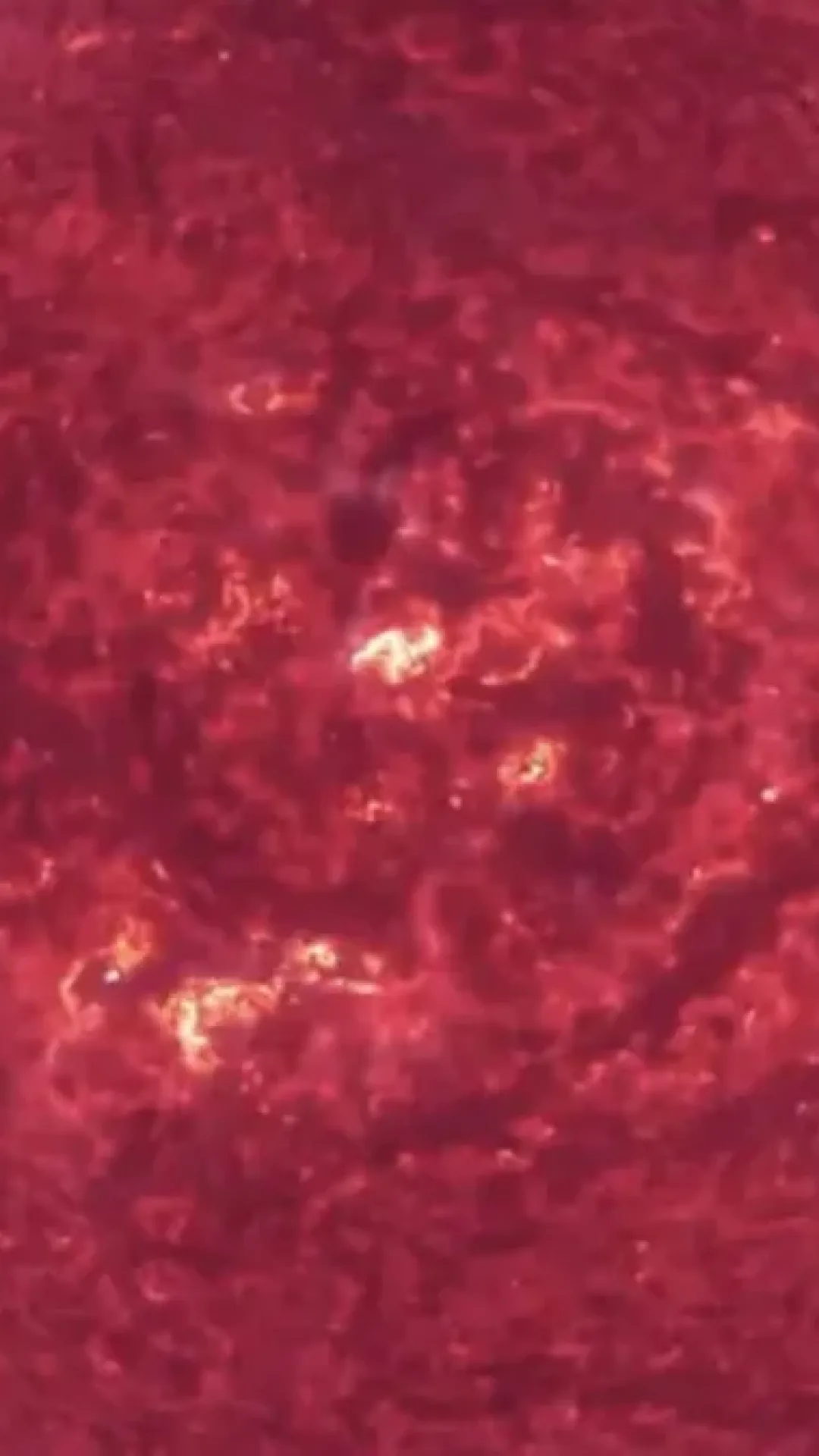Terra pode ser atingida por tempestade geomagnética extrema amanhã após erupção solar de 1 milhão de km de largura, alertam cientistas
