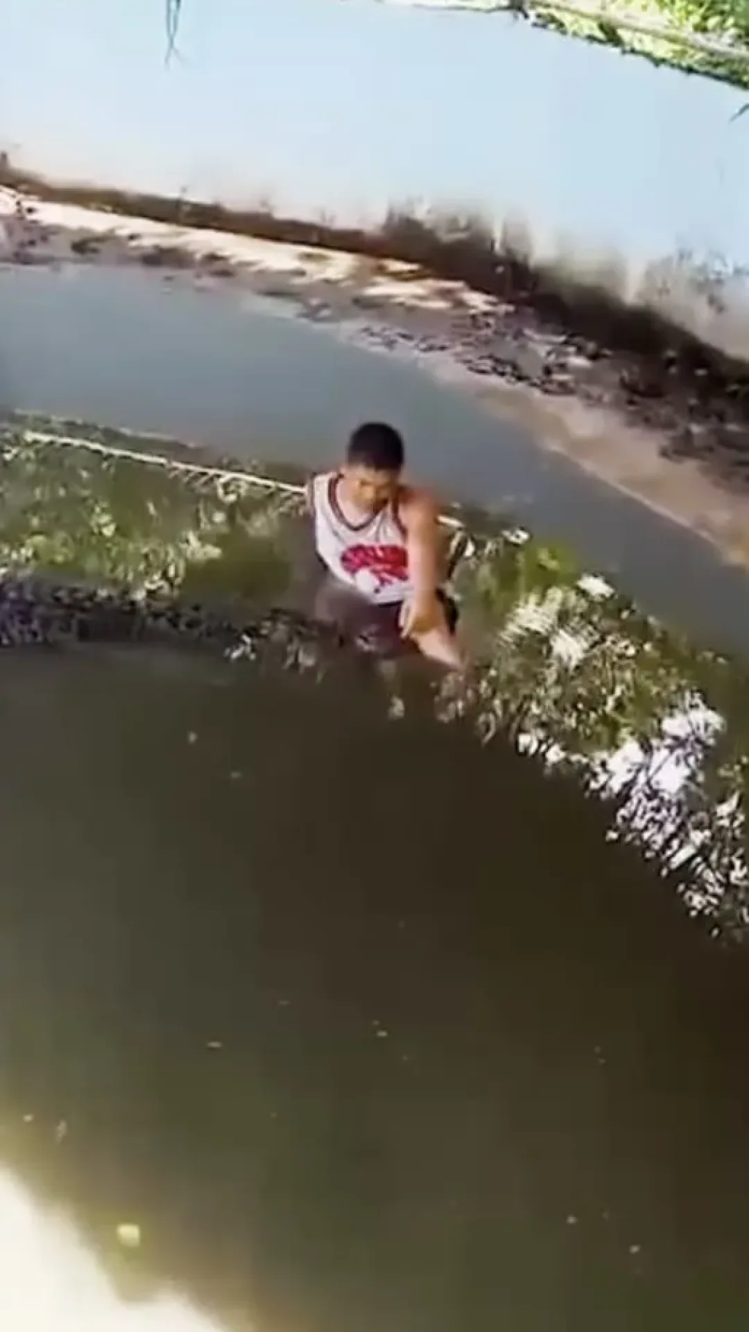 Turista atacado brutalmente por crocodilo após entrar no recinto para tirar selfie com o animal