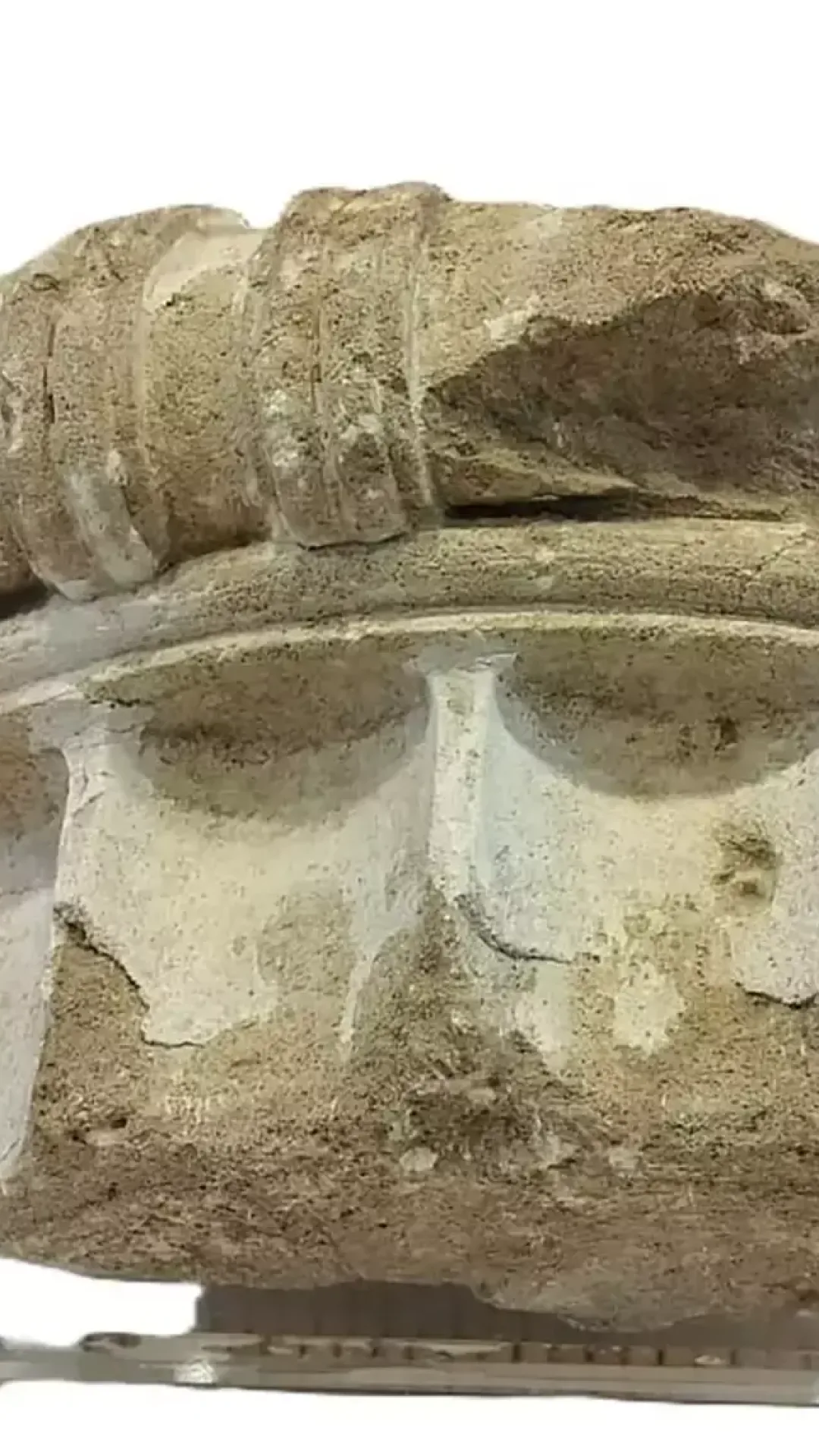 Turista que roubou artefato grego de 2.400 anos o devolve 50 anos depois por um motivo específico