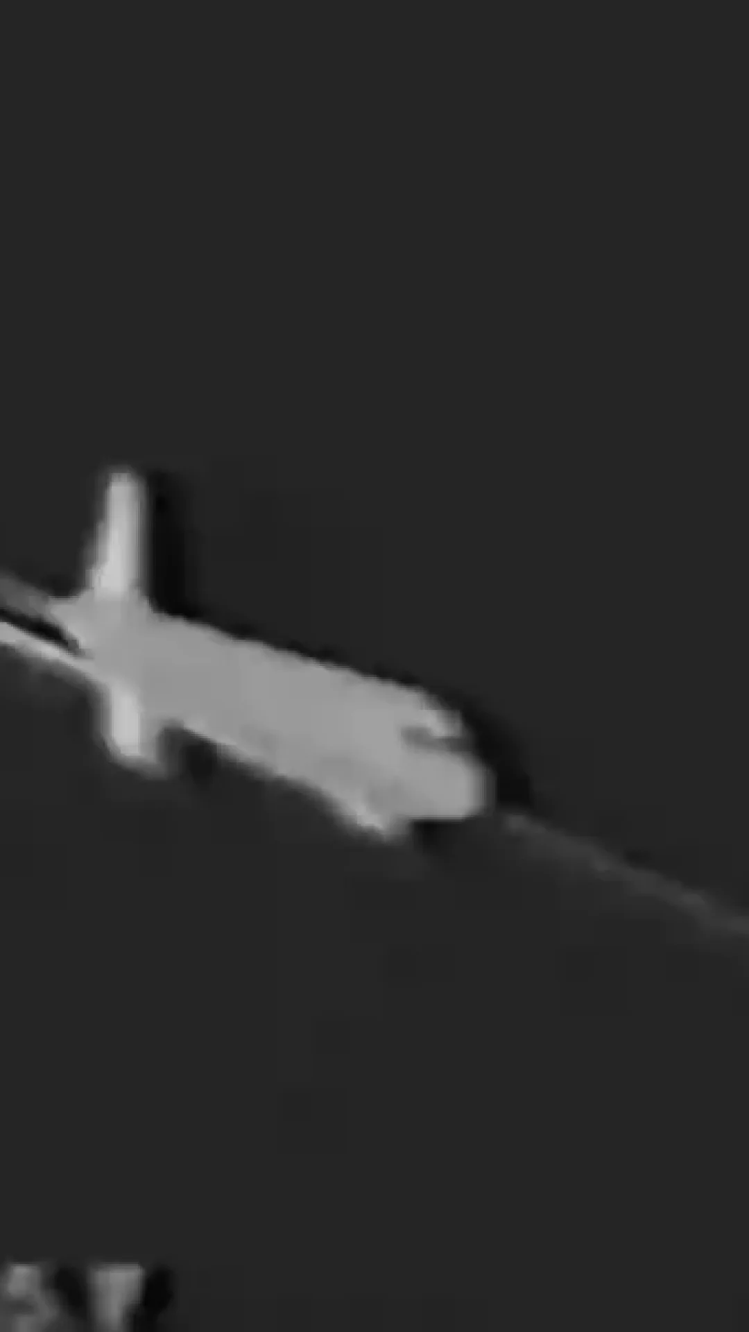 Últimas palavras arrepiantes depois que piloto deixou seus filhos pilotarem o avião antes de ele cair e matar todos a bordo
