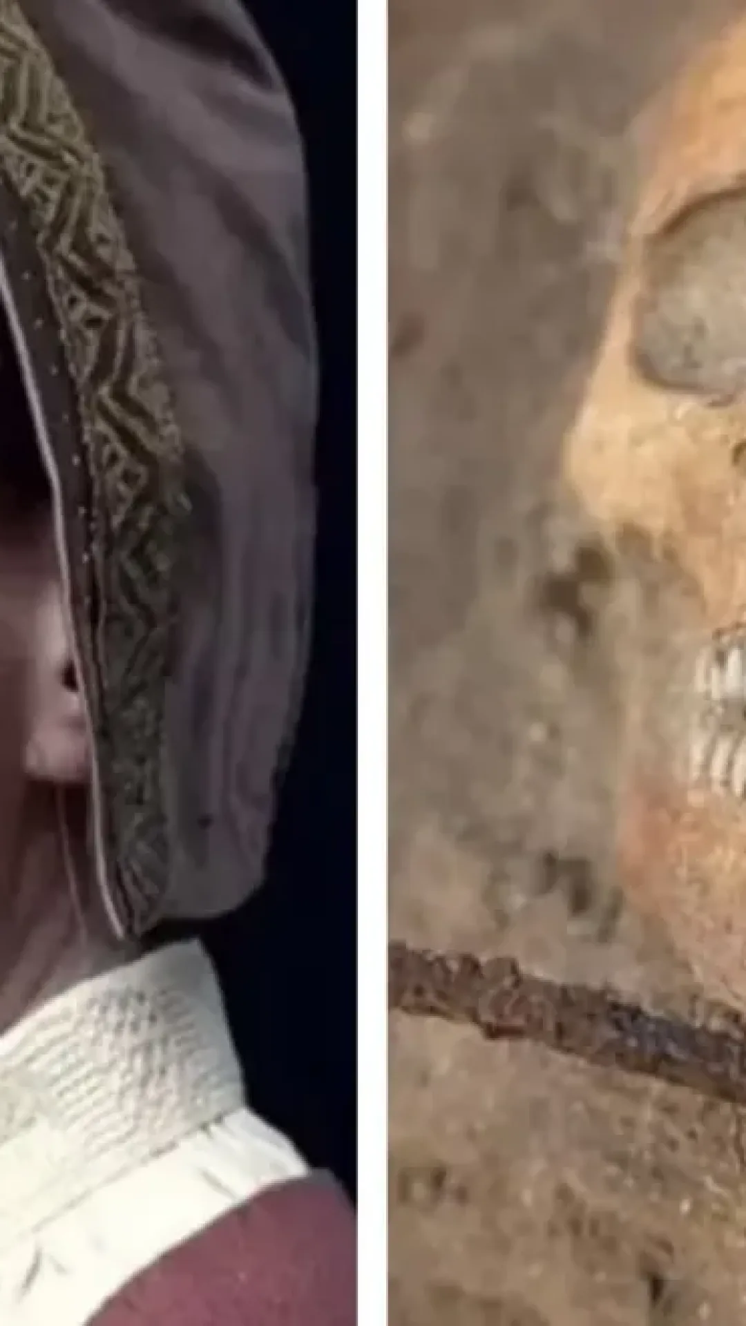 “Vampira da vida real” considerada tão perigosa que teve uma foice colocada sobre seu pescoço e foi trancada com cadeado dentro do túmulo