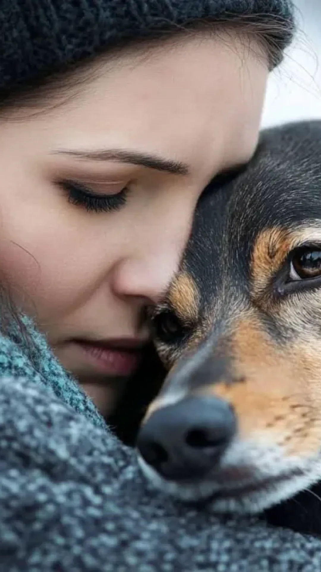 Veterinária revela por que você não deve abraçar seu cão de estimação