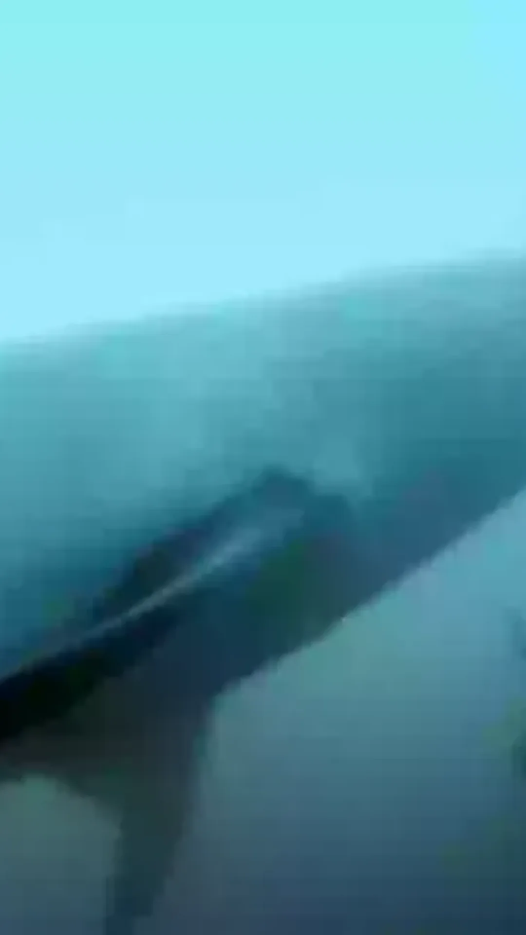 Vídeo assustador mostra momento em que homem ‘quase é devorado’ por tubarão branco