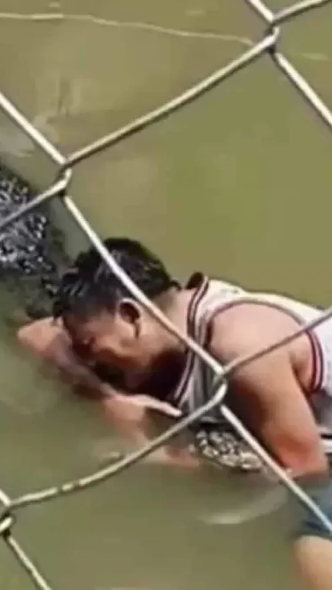 Vídeo chocante mostra momento em que turista é atacado por crocodilo ao invadir recinto