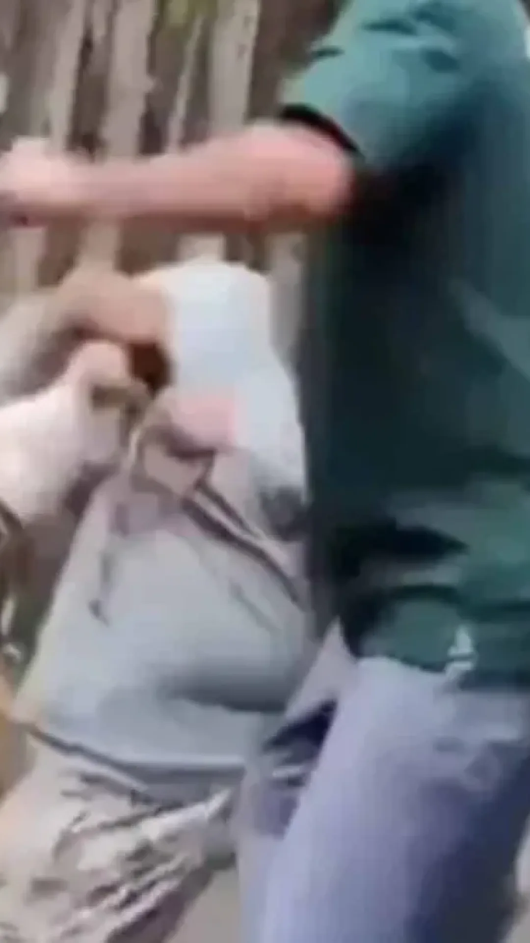 Vídeo chocante mostra turista sendo atacado por tigre ao tentar tirar selfie com o animal