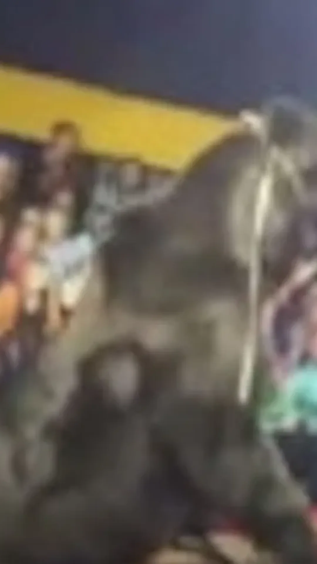 Vídeo chocante mostra urso de circo atacando treinador e o imobilizando diante do público ao vivo