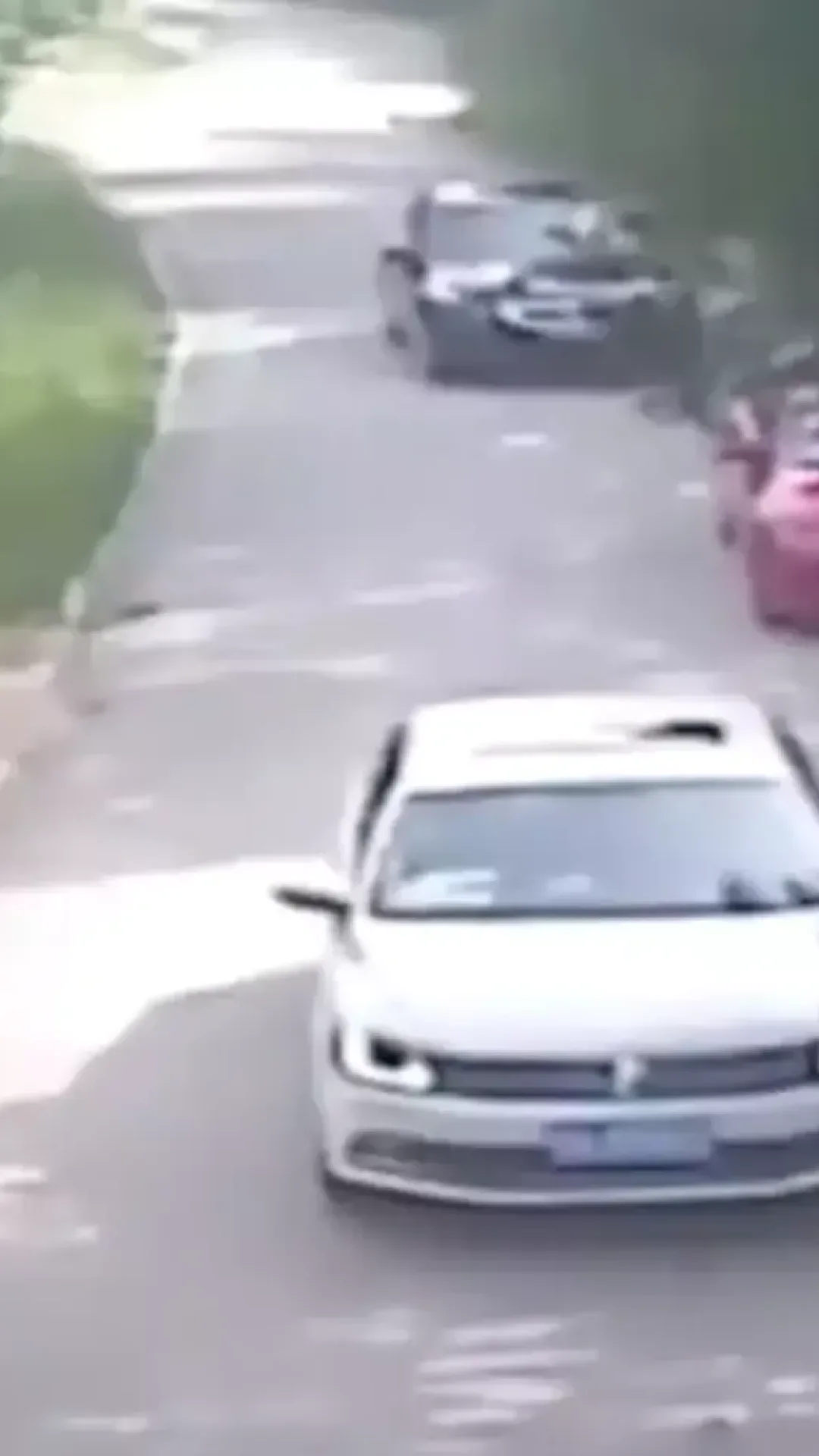 Vídeo mostra últimos momentos horripilantes de mãe que foi devorada viva por um tigre enquanto tentava salvar a filha