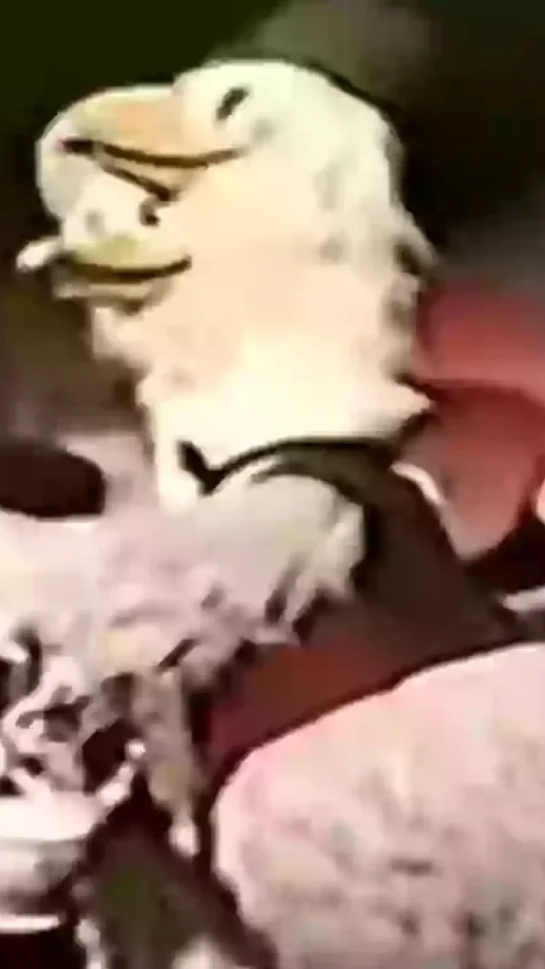 Vídeo raro mostra atração que não existe mais, onde jovem funcionária da Disneyland sofreu uma das piores mortes imagináveis