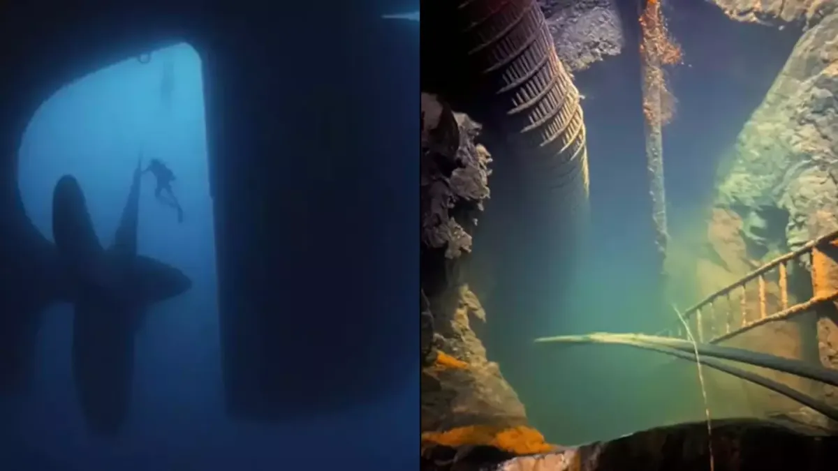 Teste para ver se você tem submecanofobia está aterrorizando