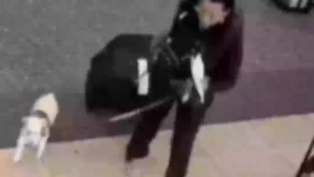 Trabalhadora de aeroporto faz descoberta horrível em lixeira