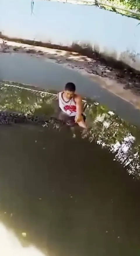 Turista atacado brutalmente por crocodilo após entrar no rec