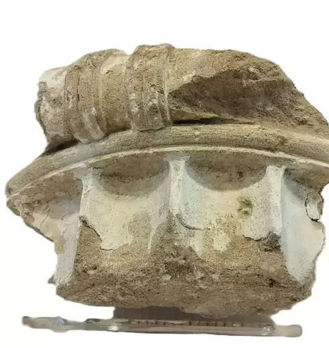 Turista que roubou artefato grego de 2.400 anos o devolve 50