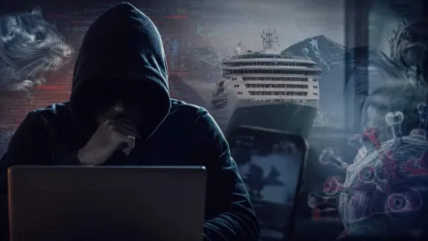 Tweet “prevendo” surto de hantavírus há quatro anos está assustando as pessoas