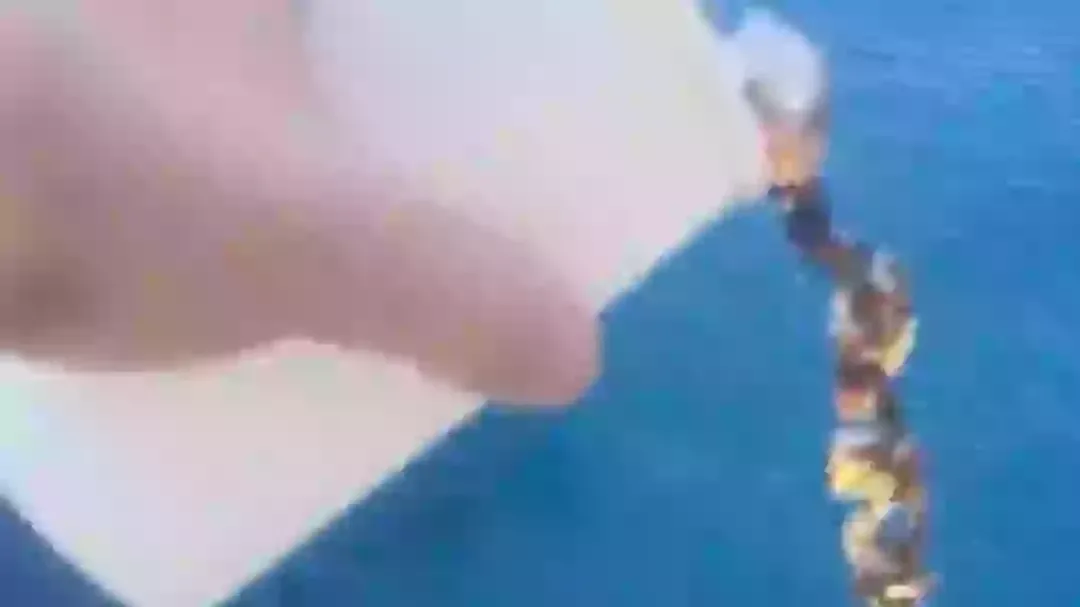 Vídeo aterrorizante mostra um dos motivos pelos quais cair n