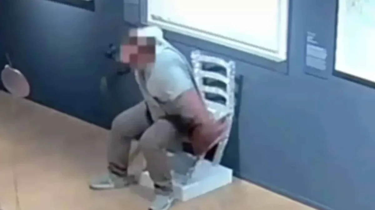Vídeo chocante mostra o momento em que turista ‘desrespeitos