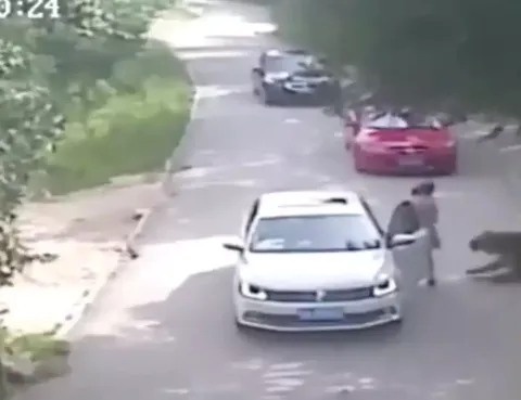 Vídeo mostra últimos momentos horripilantes de mãe que foi d