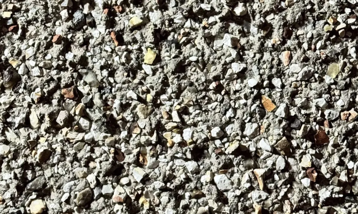 Você tem olhos de “sniper” se conseguir encontrar a mariposa