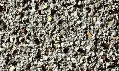 Você tem olhos de “sniper” se conseguir encontrar a mariposa